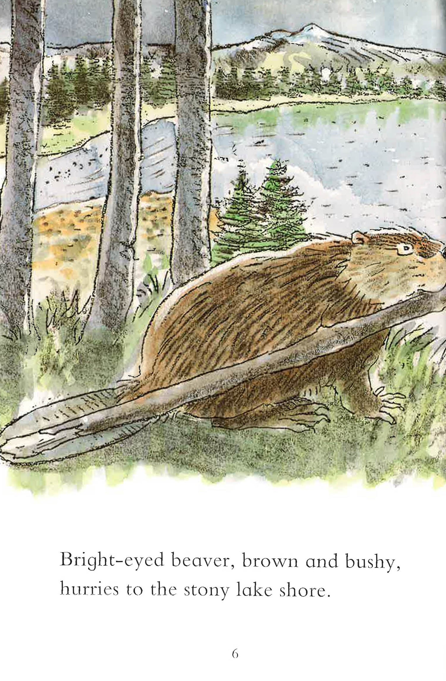 Bushy Beaver